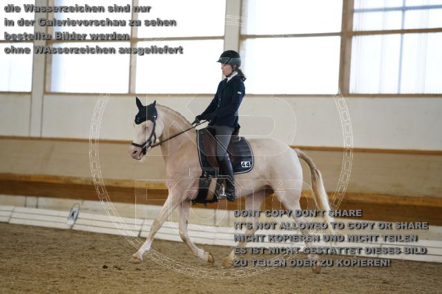 s_K3F00888.JPG